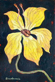 Untitled- 2