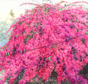 Bougainvillea and the Bee-eaters