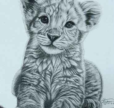 Cub 