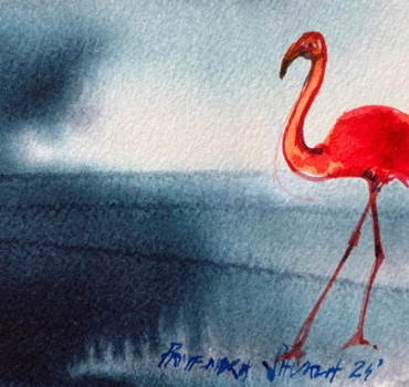 Flamingos