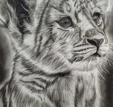 Lion Cub