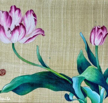 Tulip Flowers