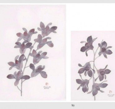 Untitled (set of 2)
