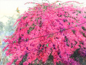 Bougainvillea and the Bee-eaters | 11 x 14.5 in