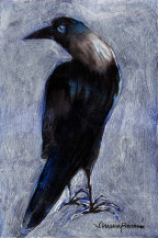 Crow | 7 X 5 Inches