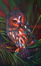 Owl I | 37 X 23.5 Inches