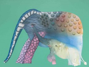 Elephant 2 | 36